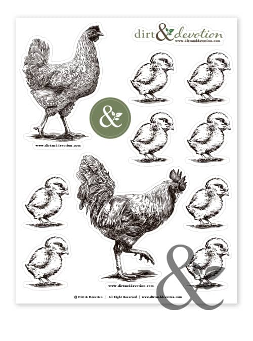 Chicken Family Sticker Sheet | Dirt & Devotion