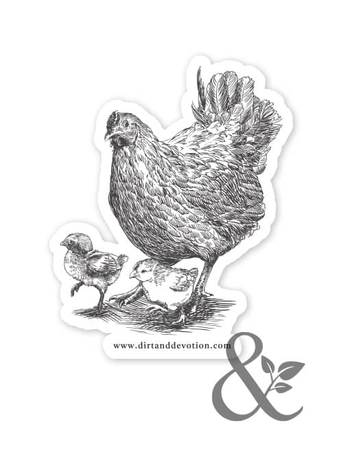 Chicken Mother Hen Sticker | Dirt & Devotion