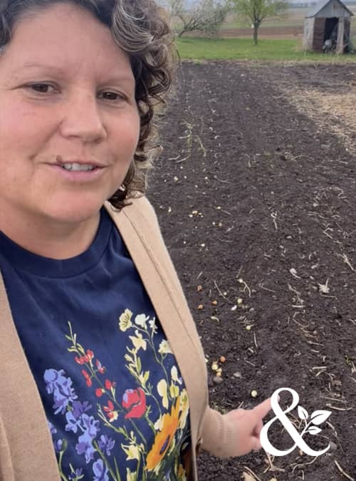 Consider the Wildflowers T-Shirt | Dirt & Devotion