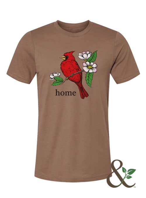 Cardinal Forever Home - Image 4