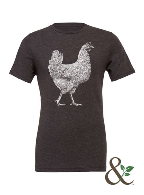Chicken - Hen - Image 13