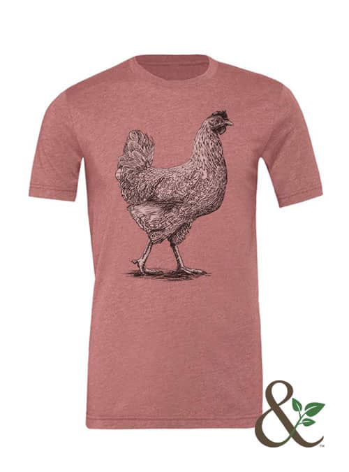 Chicken - Hen - Image 10