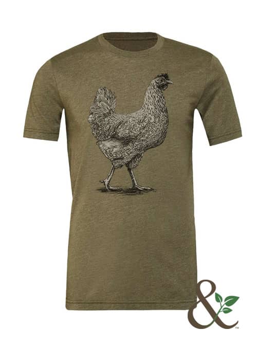 Chicken - Hen - Image 11