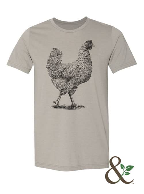 Chicken - Hen - Image 8