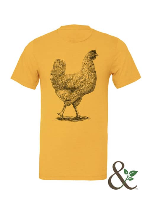 Chicken - Hen - Image 9