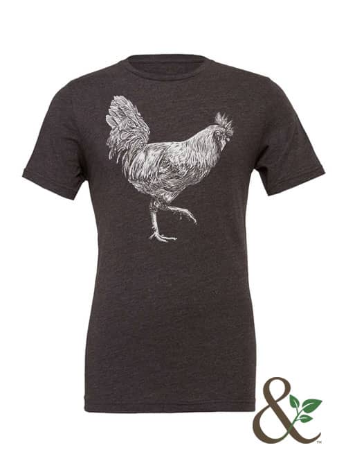 Chicken - Rooster - Image 13