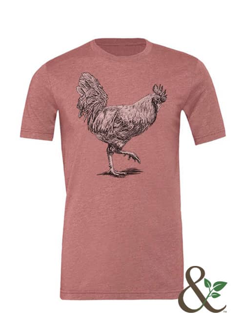 Chicken - Rooster - Image 10