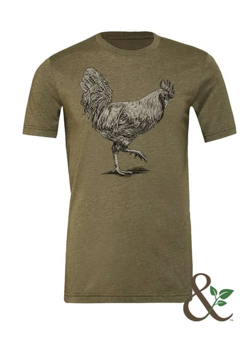 Chicken - Rooster - Image 11