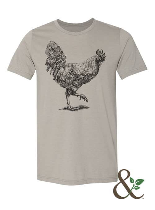 Chicken - Rooster - Image 8