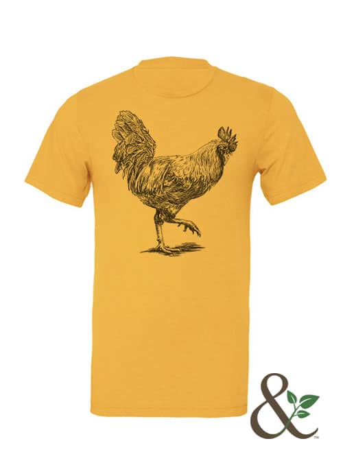 Chicken - Rooster - Image 9