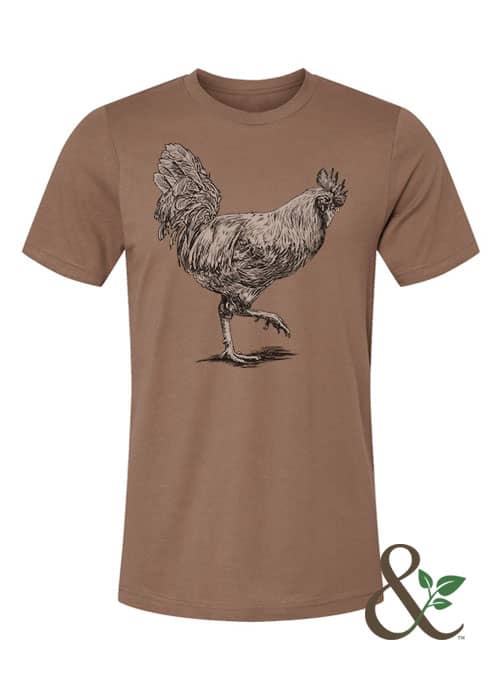 Chicken - Rooster - Image 3