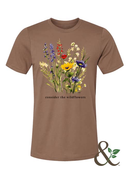 Consider the Wildflowers - Image 7