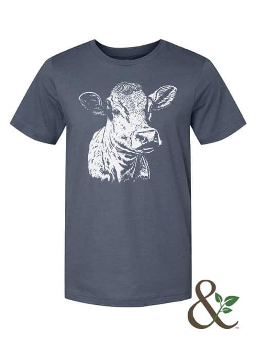 Cow - Image 5