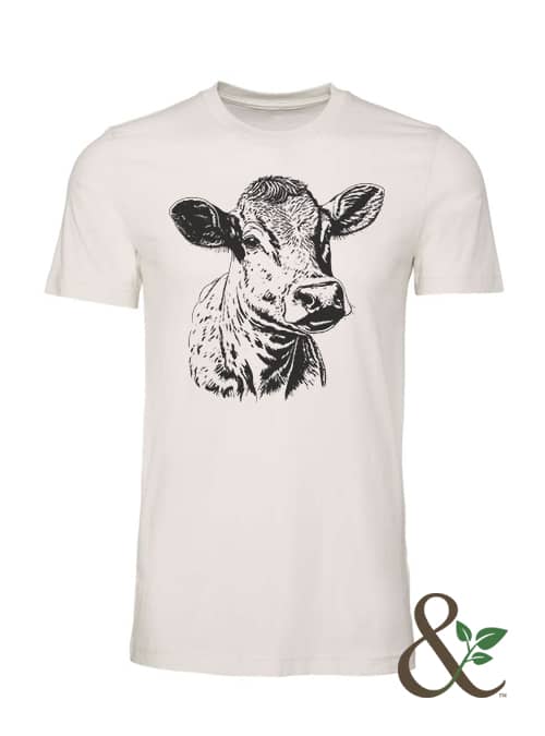 Cow - Image 7